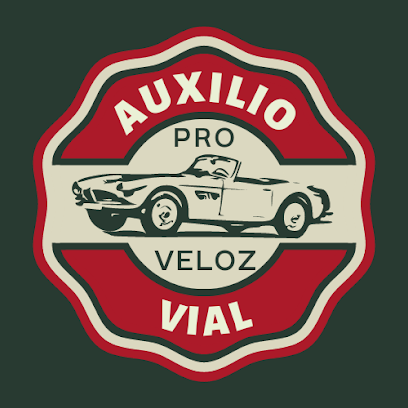 Negocio Auxilio Vial Proveloz