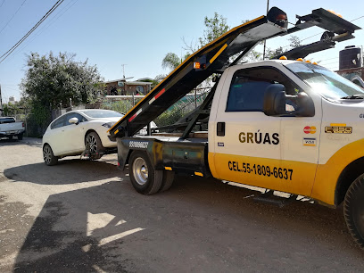 Negocio Depósito Vehicular La Viga