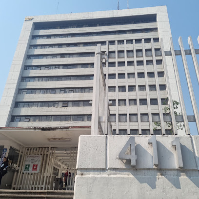 Negocio Dirección General De Autotransporte Federal (Dgaf)