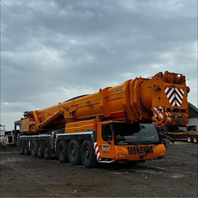 Negocio Equipos Y Gruas Monarca Sa De Cv