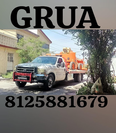 Negocio Grúa Económica