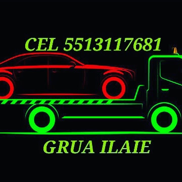 Negocio Grúa Ilaie