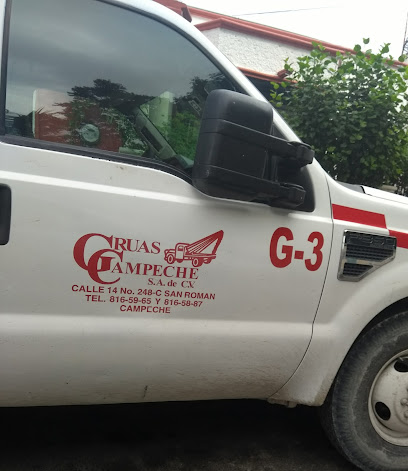 Negocio Gruas