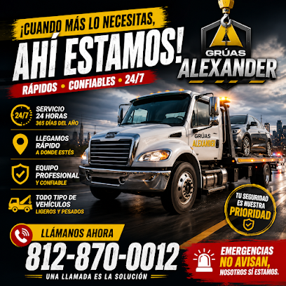 Negocio Gruas Alexander