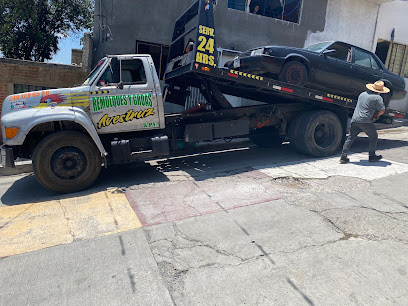 Negocio Gruas Avestruz