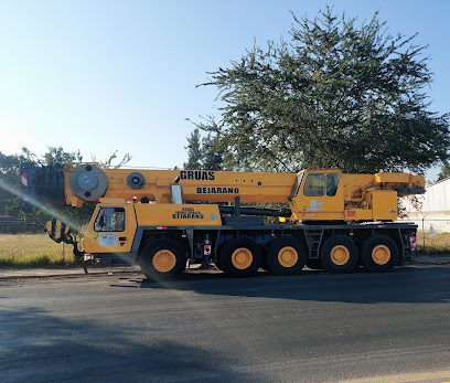 Negocio Gruas Bejarano