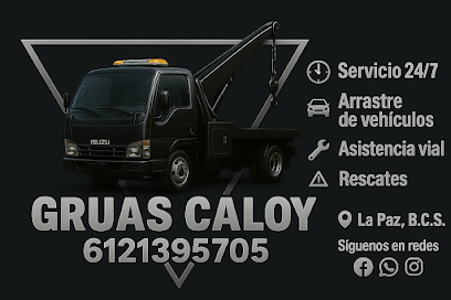 Negocio Grúas Caloy