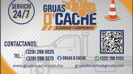 Negocio Gruas D Cache