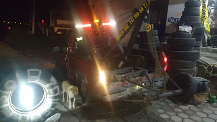 Negocio Gruas De Auxilo Vial Pariente