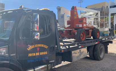 Negocio Gruas Economicas De La Zota De Oro