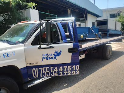 Negocio Grúas Fenix