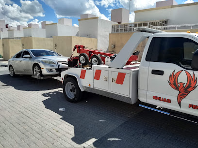 Negocio Gruas Fénix