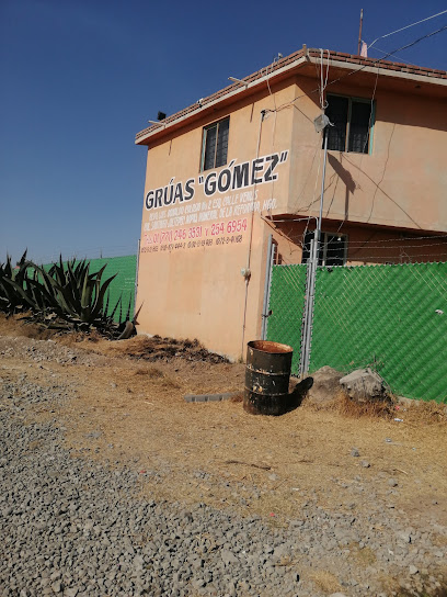 Negocio Gruas Gomez De Hidalgo Sa