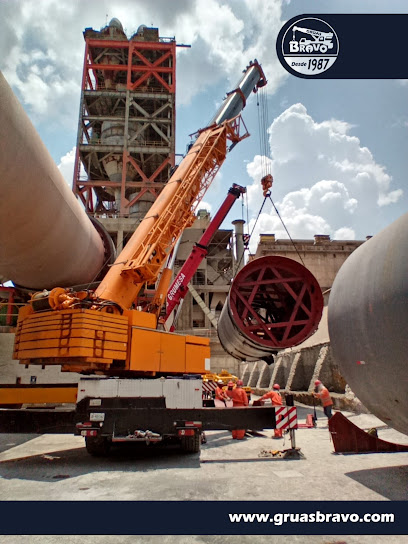 Negocio Grúas Industriales Bravo