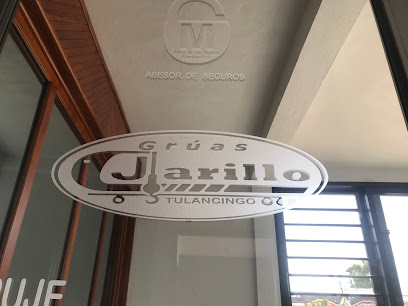 Negocio Gruas Jarillo