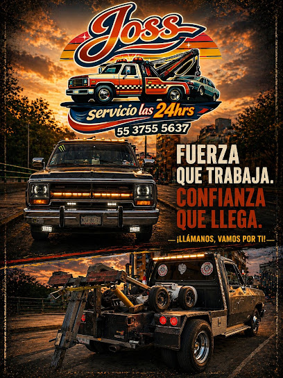 Negocio Gruas Joss