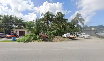 Gruas La Guadalupana