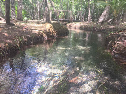 Negocio Grúas La Vauqueta