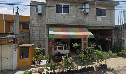 Negocio Gruas Lauriano