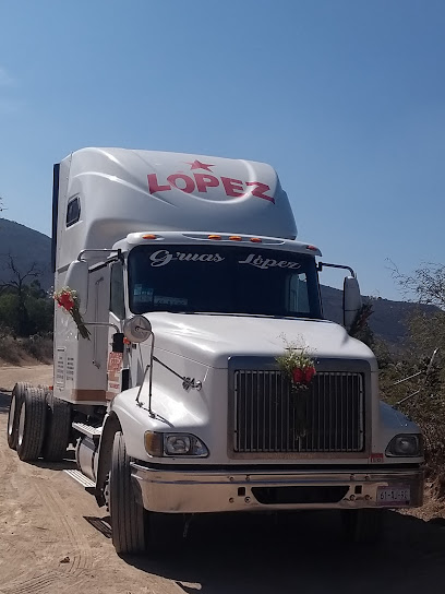 Negocio Gruas López