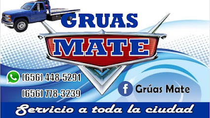 Negocio Gruas Mate
