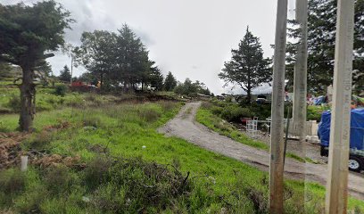 Negocio Grúas Mendoza