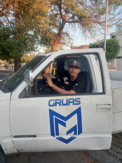 Negocio Gruas Mg