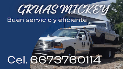 Negocio Grúas Mickey