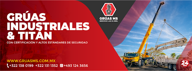 Negocio Gruas Ms