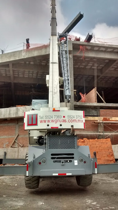 Negocio Grúas Para Construcción W-Grúas