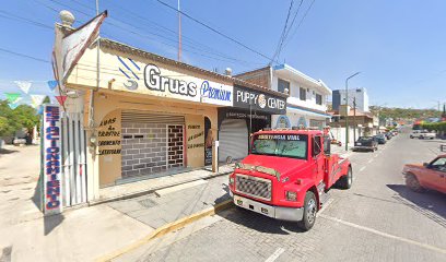 Negocio Grúas Premier