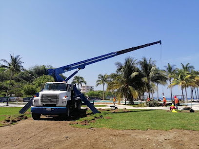 Negocio Grúas Titan En Manzanillo