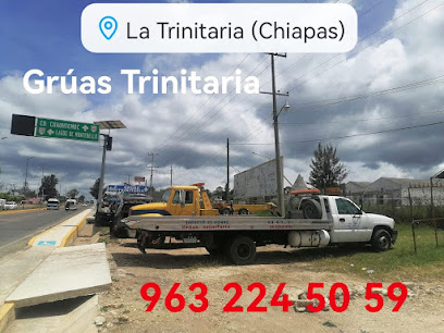 Negocio Grúas Trinitaria