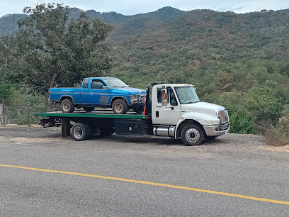 Negocio Grúas Vallarta