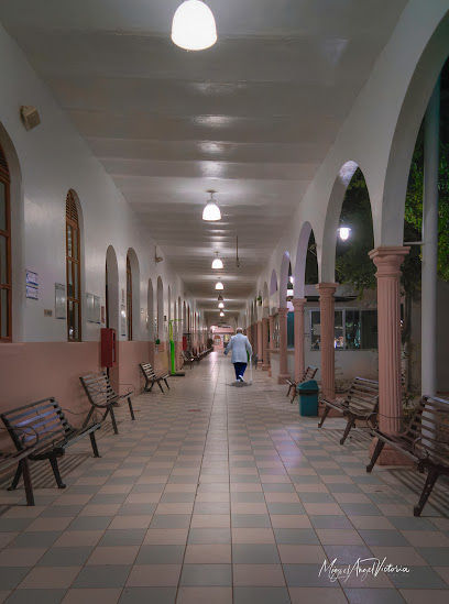 Negocio Hospital Civil De Culiacán