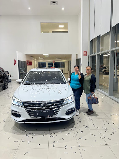 Negocio Mg Laredo - Car One