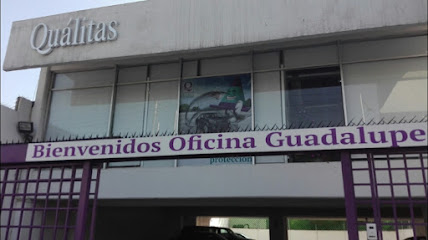 Negocio Quálitas - Ods Guadalupe