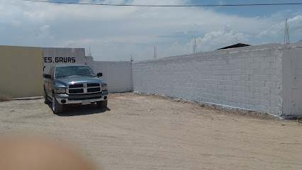 Negocio Remafemisa (Gruas Allende)