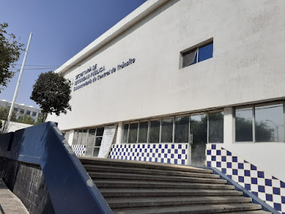 Negocio Secretaria De Seguridad Pública, Subsecretaría De Control De Tránsito.