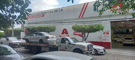 Negocio Servicio De Gruas Ayutla Jalisco