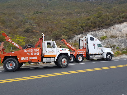 Negocio Servicio De Gruas Del Carmen