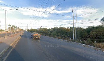 Negocio Servicio De Gruas Leo Pericos