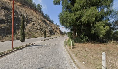 Negocio Servicio De Gruas