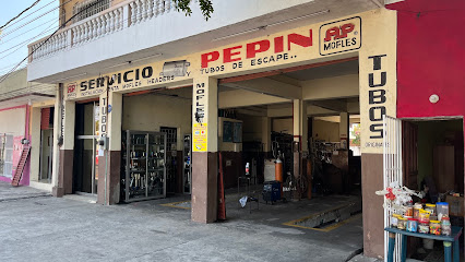 Negocio Servicio Pepin