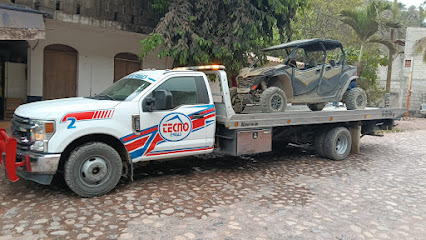 Negocio Tecnogruas
