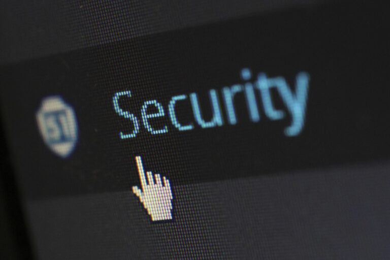 ¿Qué medidas de seguridad utilizan las empresas para proteger su información y personal?